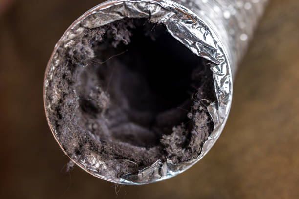 Best Local Air Duct Cleaning Services  in Indian Wells, CA